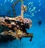 Great Barrier Reef Day Tour from the Gold Coast 9557