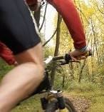 Mountain Bike Tours 9919