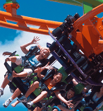 Freedom Pass with Unlimited Airport, Theme Park and Local Bus Transfers 11966