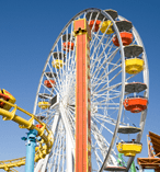 Freedom Pass with Unlimited Airport, Theme Park and Local Bus Transfers 11967