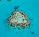 Great Barrier Reef and Whitehaven Beach Scenic Flight