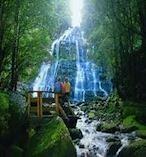 Cradle Mountain National Park Tour from Launceston 8294