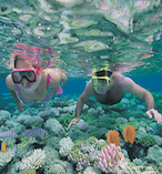 Outer Great Barrier Reef Cruise 18160