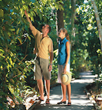 Green Island Eco Adventure 17969