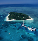 Green Island Eco Adventure 17971