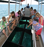 Green Island Eco Adventure 17972