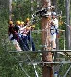 Treetops Daytime Adventure