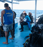 Double Dive with Turtles Open Water Certificate required 7850