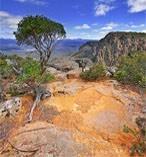 Canyon Tour