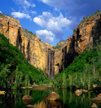 Kakadu National Park Adventure from Darwin 23410