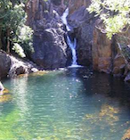 Kakadu National Park Adventure from Darwin 23414
