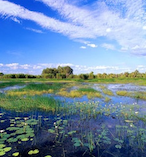 Kakadu National Park Adventure from Darwin 23417