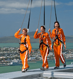 SkyWalk 10461