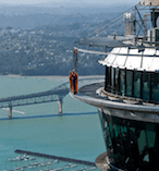 SkyWalk 10462