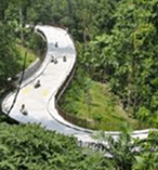 Skyline Gondola and Luge 11373