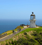 Cape Reinga via 90 Mile Beach Tour 11566