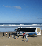 Cape Reinga via 90 Mile Beach Tour 11567