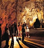 Waitomo Glowworm Express ex Rotorua return Rotorua