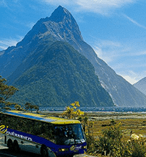 Milford Sound Nature Cruises and Coach from Te Anau 13098