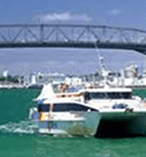 Waiheke Explorer Tour