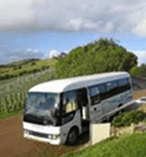 Wine On Waiheke