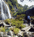 Routeburn Walking Track 11828