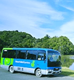 Village and Bays Tours Stewart Island 11499