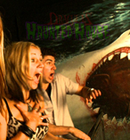 Surfers Paradise Attraction Pass 12839