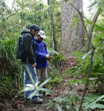 Half Day Forest Walk