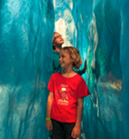 All Day Unlimited Pass to Wildlife Centre 13988