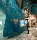 All Day Unlimited Pass to Wildlife Centre 13989