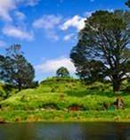 Hobbiton Movie Set Tour from Rotorua