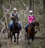 Full Day Horse Ride 15180