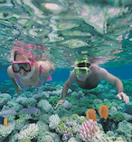Great Barrier Reef and Scenic Helicopter Flight 17614