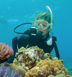 Great Barrier Reef and Scenic Helicopter Flight 17615