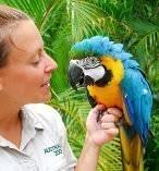 Australia Zoo 4905