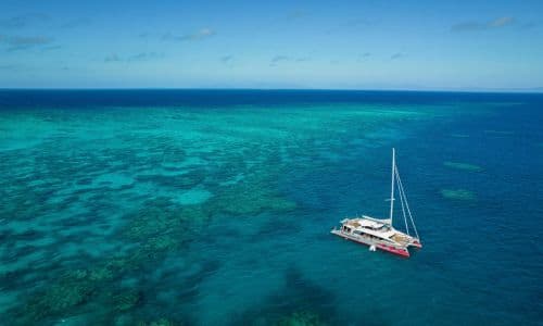 Reef & Island Cruises