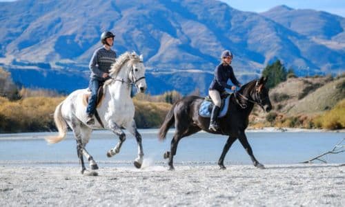 Horse Riding