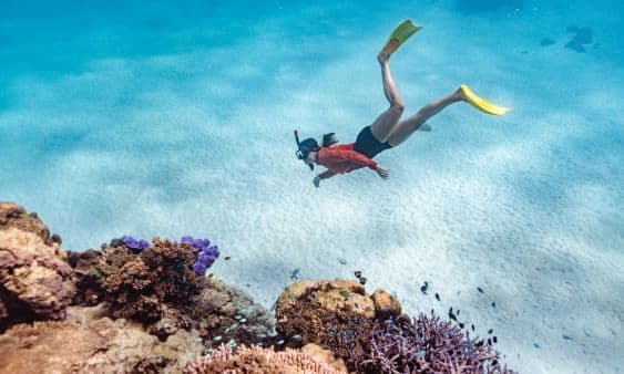Snorkelling & Scuba Diving