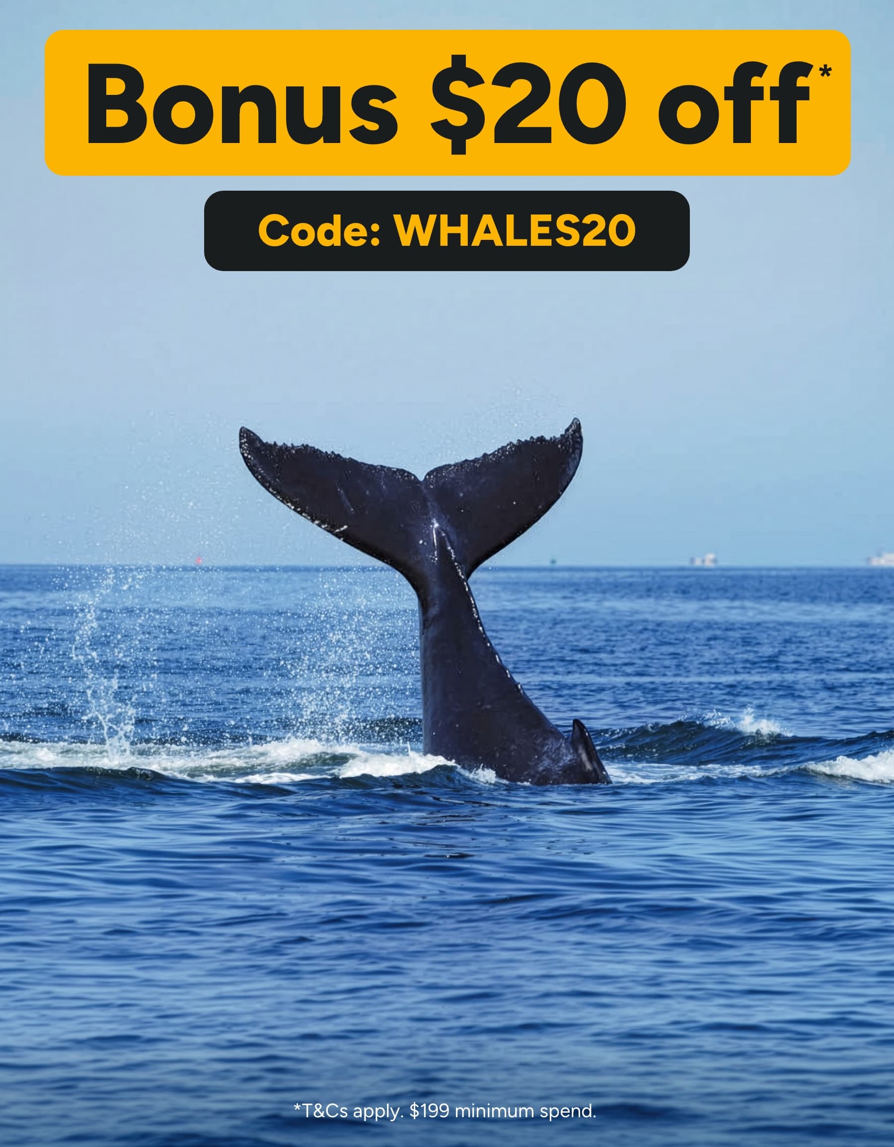 Whale watching