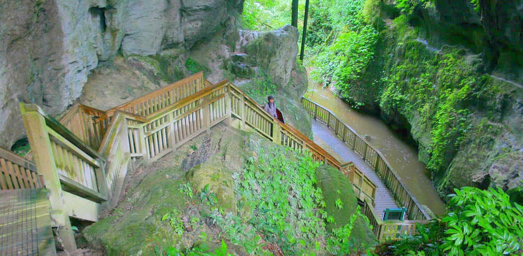 Mangapohue Natural Bridge Walk