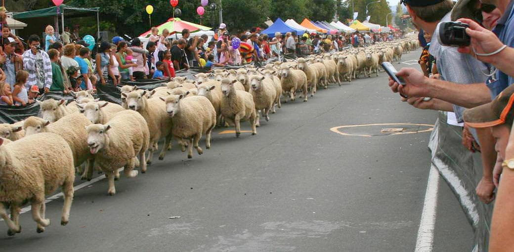 Te Kuiti