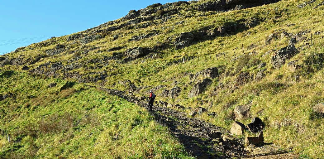 Bridle Path Walk
