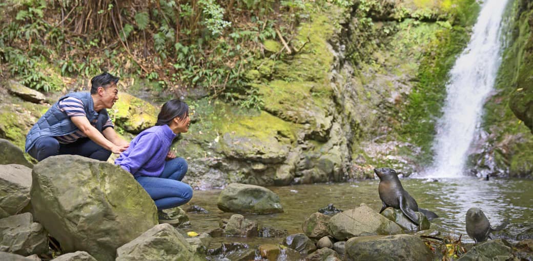 Ohau Waterfall Walk