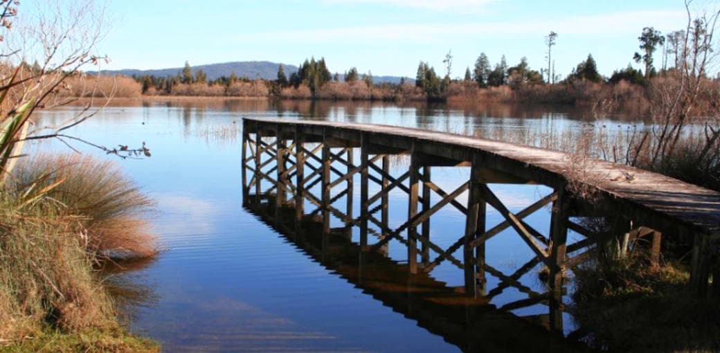 Lake Brunner