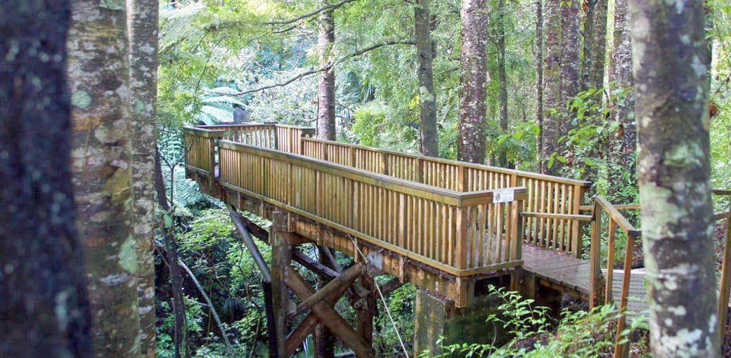 Parry Kauri Park