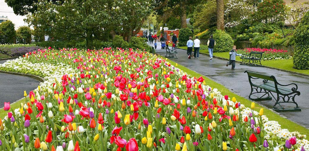 Wellington Botanic Gardens