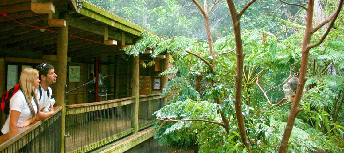 Blackbutt Reserve Newcastle
