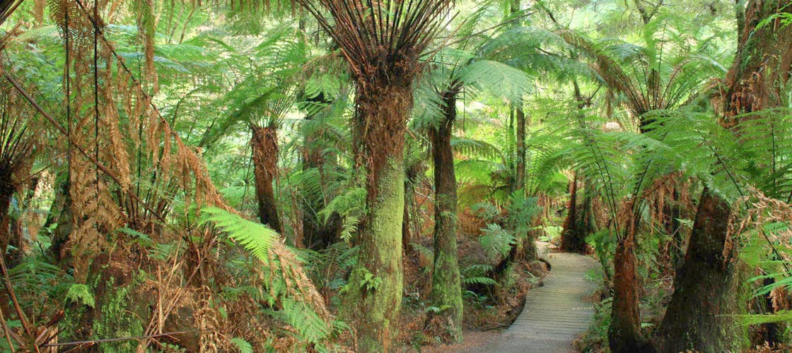 Maits Rest Walk