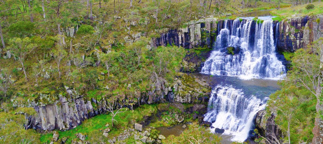 Waterfall Way Scenic Drive